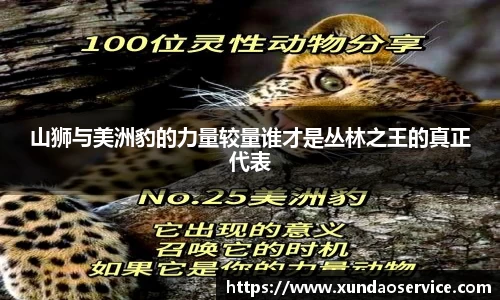 易游yy体育