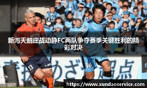 新泻天鹅迎战动静FC两队争夺赛季关键胜利的精彩对决