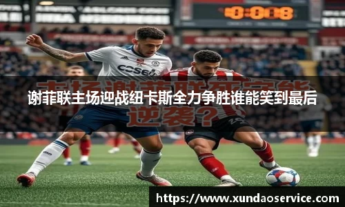 易游yy体育