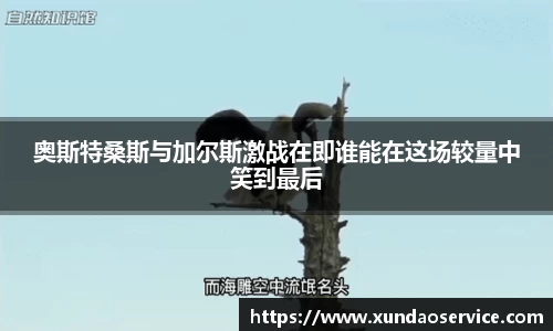 易游m6